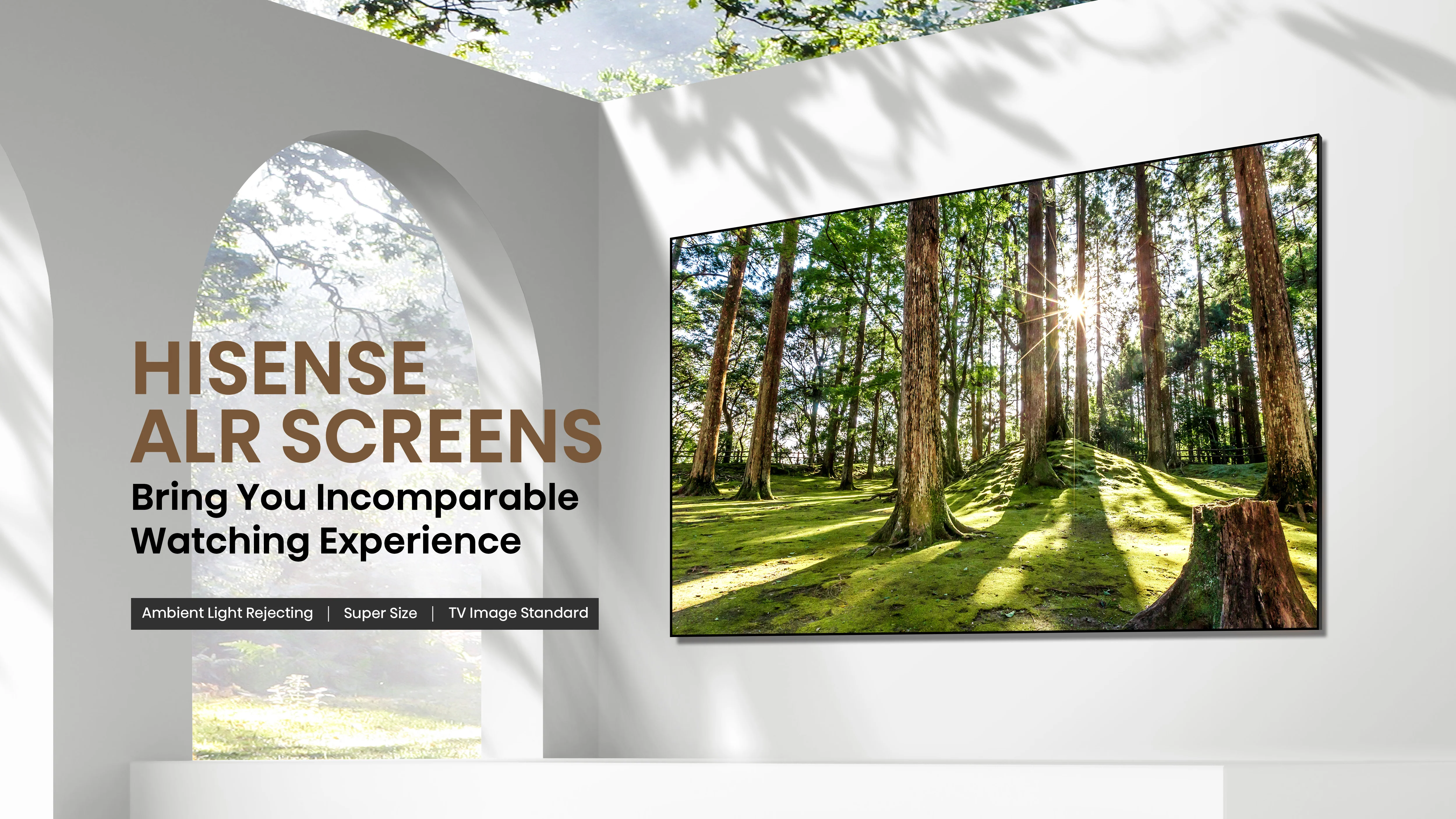 Hisense 100" Ultra High-Definition Ambient Light Rejecting projector Screen - Daylight - Image 3