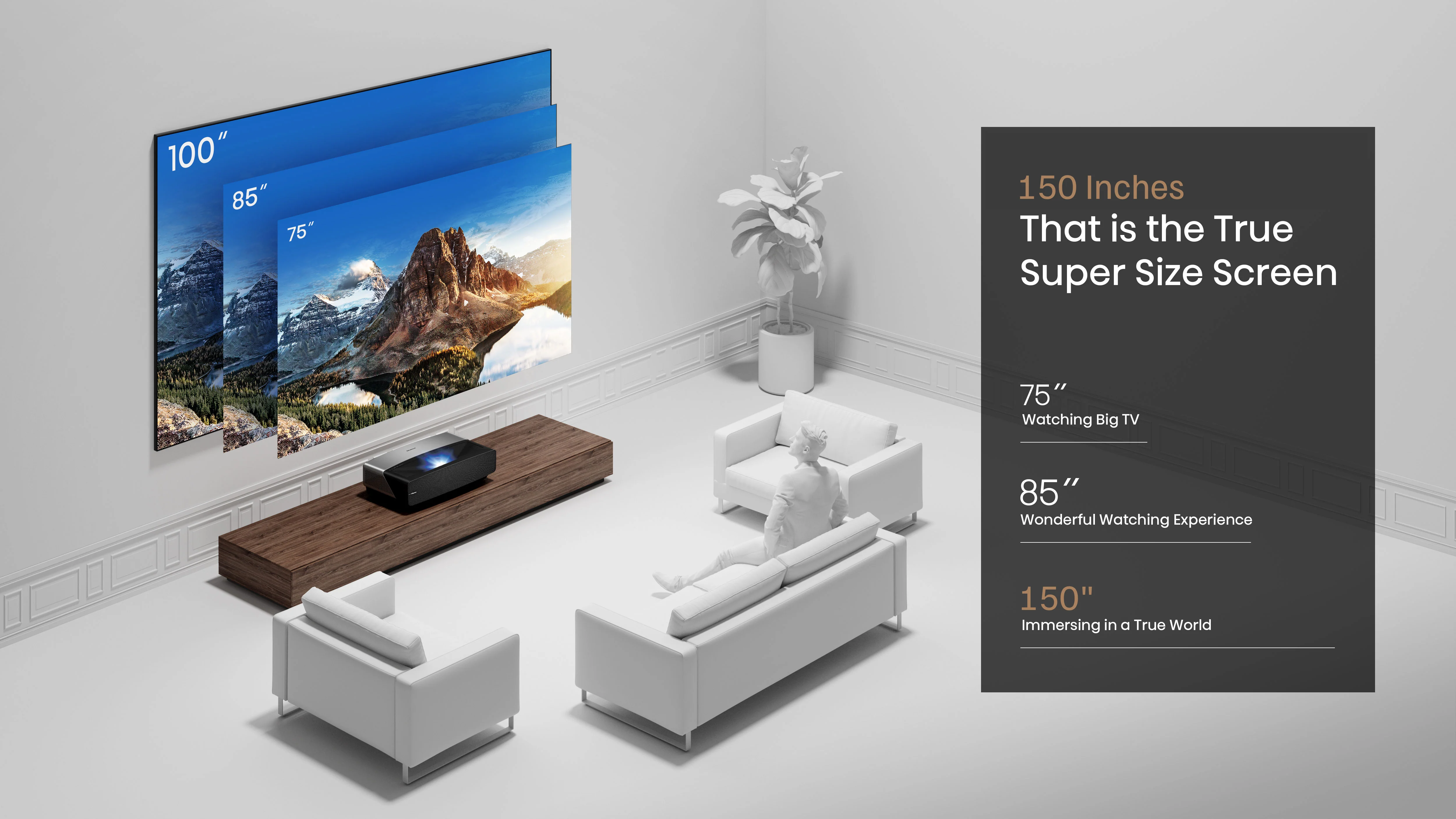 Hisense 150" Ultra High-Definition Ambient Light Rejecting projector Screen - Daylight - Image 5